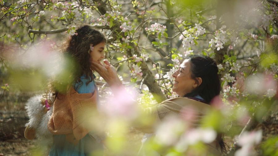 إنطلاق مهرجان الأفلام في حيفا من 5.10 وحتى 14.10